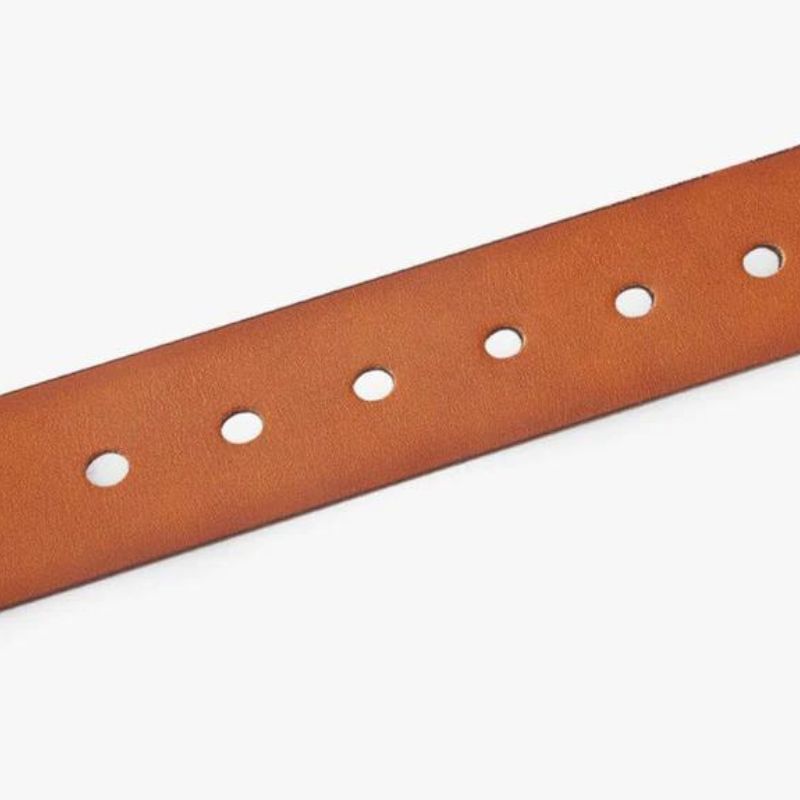 Cinto Masculino de Couro Ellegance Clássico