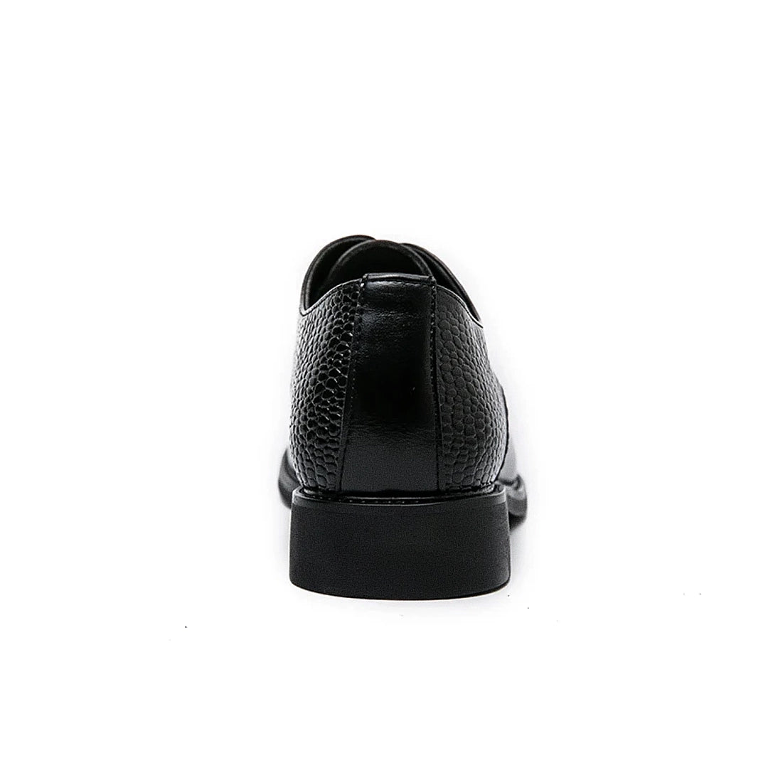 Sapato Masculino Derby Ellegance Aranjuez