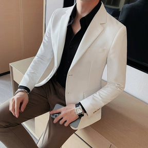 Blazer Masculino Esporte Fino Ellegance F017